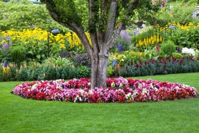 Framed Print : North America; Canada; BC; Victoria; Butchard Gardens In Full Bloom Framed Print : North America; Canada; BC; Victoria; Butchard Gardens In Full Bloom
