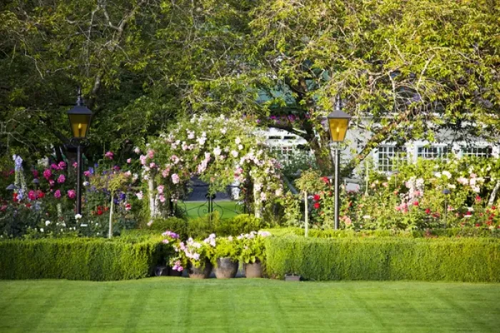 Framed Print : North America; Canada; BC; Victoria; Rose Garden at Butchard Gardens In Full Bloom