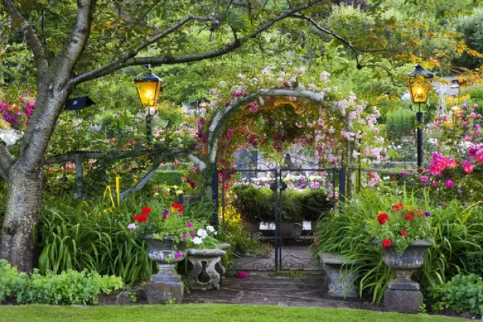 Framed Print : North America; Canada; BC; Victoria; Rose Garden at Butchard Gardens In Full Bloom