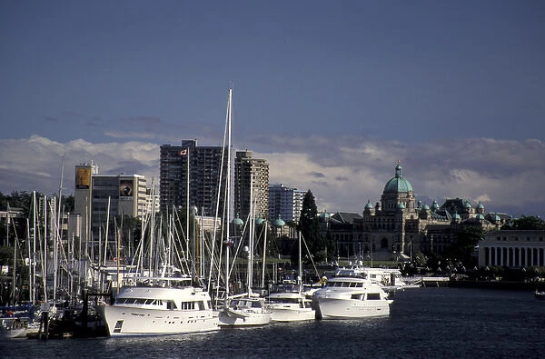 North America, Canada, British Columbia, Victoria yachts line Victoria Harbor