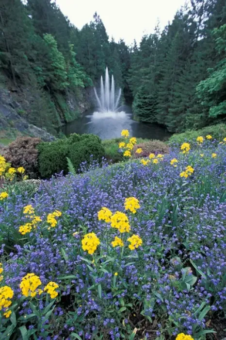 Framed Print : North America, Canada, British Columbia, Victoria, Butchart Gardens. Ross fountain Framed Print : North America, Canada, British Columbia, Victoria, Butchart Gardens. Ross fountain