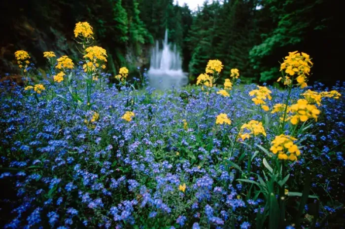 Framed Print : North America, Canada, British Columbia, Vancouver Island, Victoria, Butchart Gardens