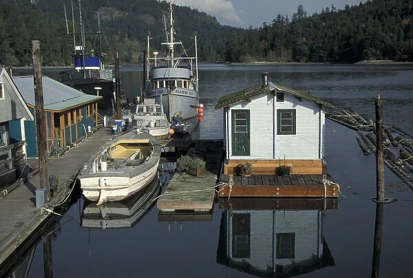 North America, Canada, British Columbia, Vancouver Island View of Genoa Bay dock