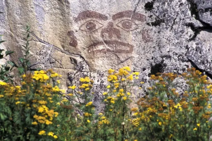 Framed Print : North America, Canada, British Columbia, Prince Rupert. Pictograph and yellow flowers