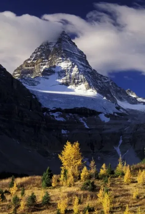Framed Print : North America, Canada, British Columbia, Mount Assiniboine. Fall colors