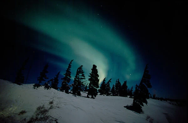 North America - Canada - Manitoba - Churchill. Northern Lights aka Aurora Borealis