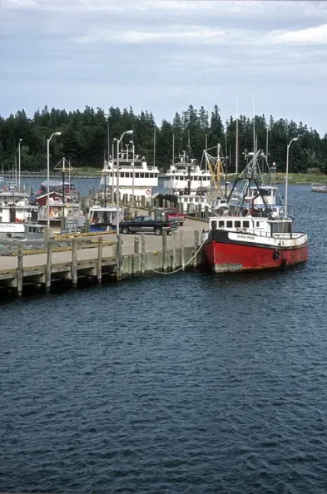 Framed Print : North America, Canada, New Brunswick, Deer Island. Fishing boats docked at a Deer Framed Print : North America, Canada, New Brunswick, Deer Island. Fishing boats docked at a Deer