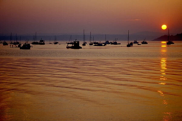 North America, Canada, New Brunswick, St Andrews. Boats in silhouette on the harbor