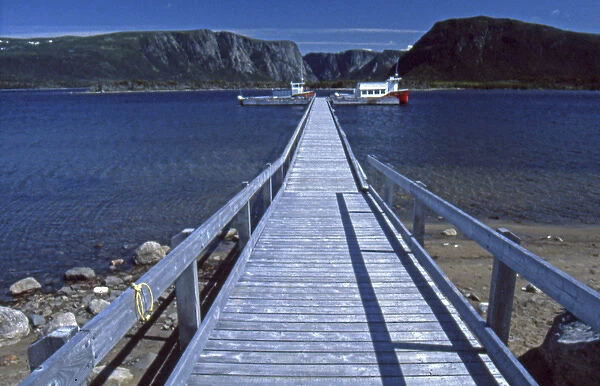 North America, Canada, Newfoundland, Northern Peninsula, Gros Morne National Park