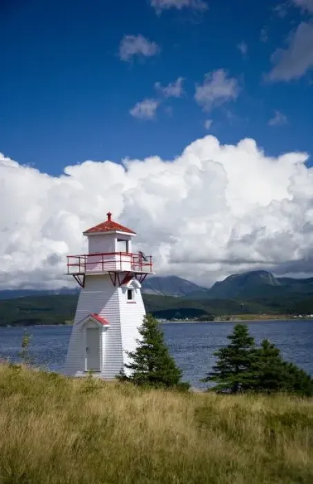 Framed Print : North America, Canada, Newfoundland and Labrador, Gros Morne National Park, Woody
