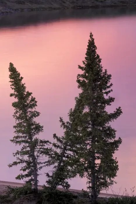 Framed Print : North America, Canada, Northwest Territories. Landscape, trees and lake Framed Print : North America, Canada, Northwest Territories. Landscape, trees and lake