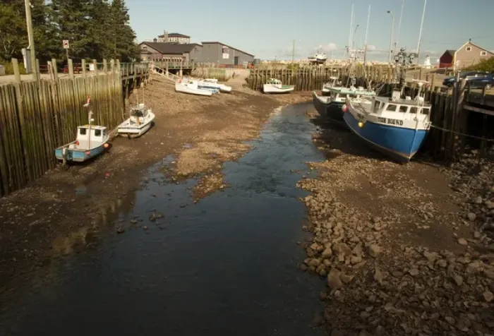 Framed Print : North America, Canada, Nova Scotia, Halls Harbour, Bay of Fundy at Low Tide Framed Print : North America, Canada, Nova Scotia, Halls Harbour, Bay of Fundy at Low Tide