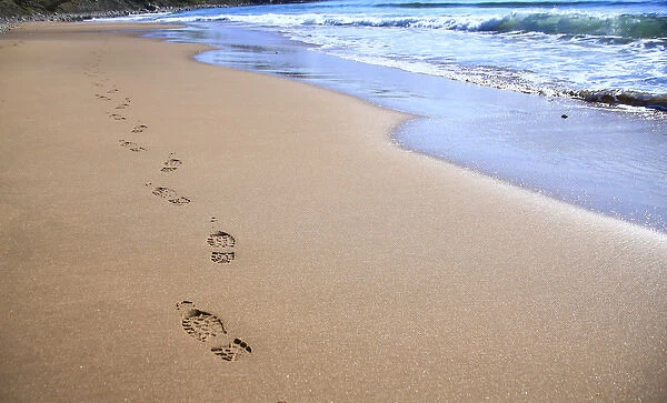 North America, Canada, Nova Scotia, footprints in the sand near the Cabot Trail