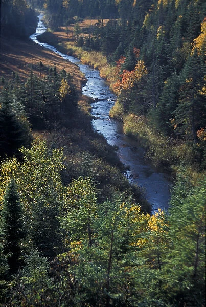 North America, Canada, Nova Scotia, Cape Breton, river valley in autumn