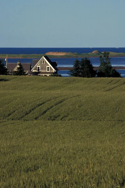 North America, Canada, Prince Edward Island, farm house