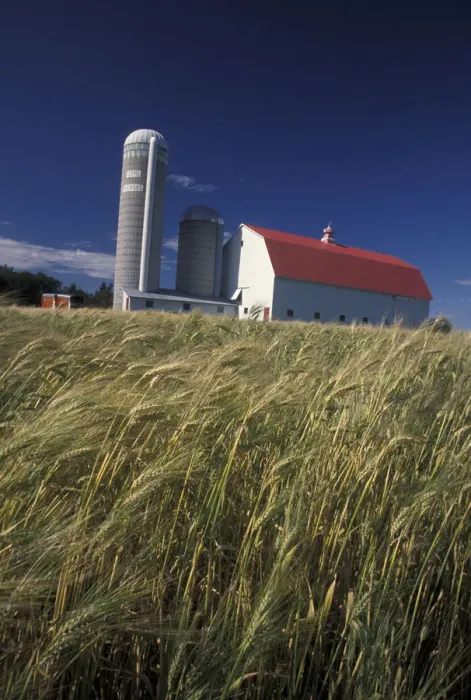 Framed Print : North America, Canada, Quebec, Gaspe Peninsula (Gaspesie) Barn and silo