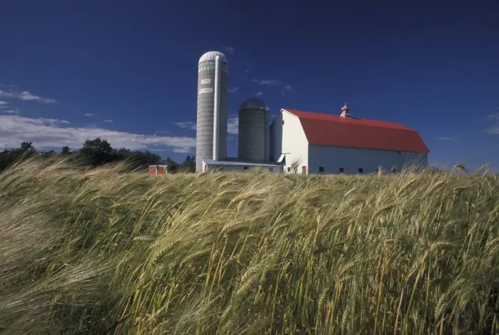 Framed Print : North America, Canada, Quebec, Gaspe Peninsula (Gaspesie) Barn and silo