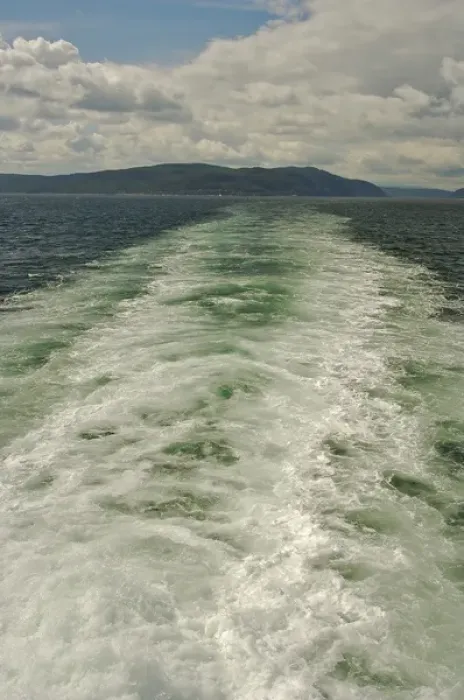Framed Print : North America, Canada, Quebec, North Shore. The wake of a cruise boat as it goes