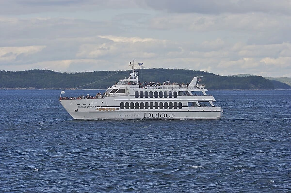 North America, Canada, Quebec, North Shore. A whale watch boat in the Saint Lawrence
