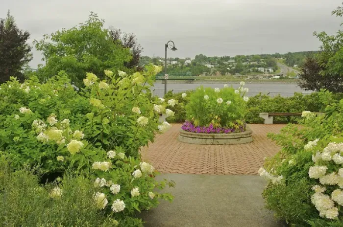 Framed Print : North America, Canada, Quebec, Saguenay, Chicoutimi. Flowers in pedestrian square