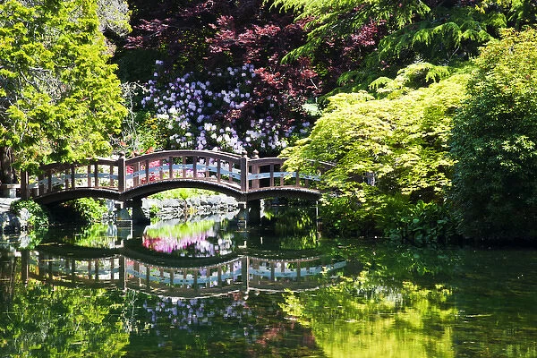 North America; Canada; Vancouver Island; Hately Gardens; Foot Bridge over Pond in Gardens