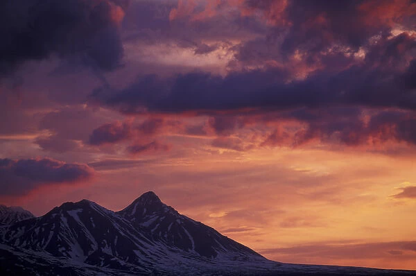 North America, Canada, Yukon, Haines Junction, St. Elias Mountains. Sunset