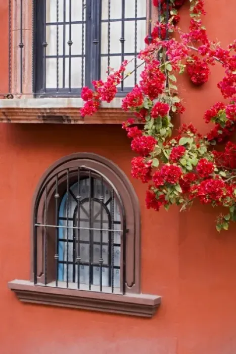 Framed Print : North America, Central Mexico, Guanajuato state, San Miguel de Allende. Windows of casa Framed Print : North America, Central Mexico, Guanajuato state, San Miguel de Allende. Windows of casa