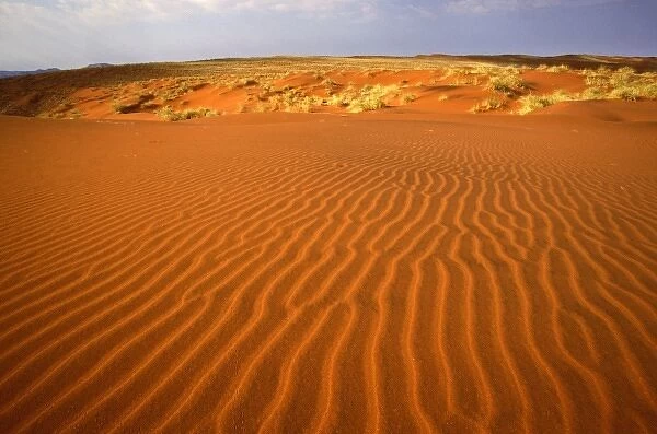 North America, Colorado, Great Sand Dunes National Park. Sand dunes