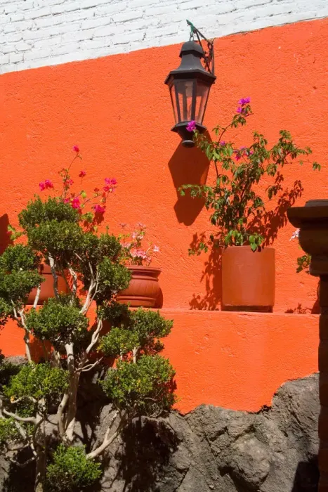 Framed Print : North America, Mexico, Guanajuato. Colorful wall with lantern and potted plants