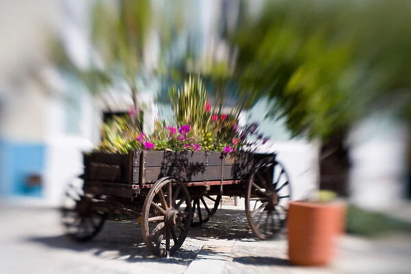 North America, Mexico, Guanajuato. Old cart filled with flowers in Plazuela San Fernando