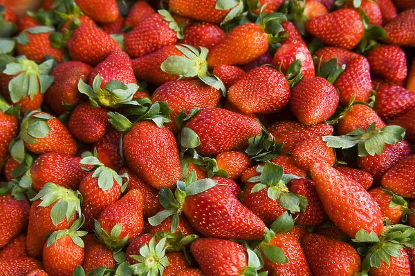 North America, Mexico, Guanajuato state, San Miguel de Allende. Strawberries