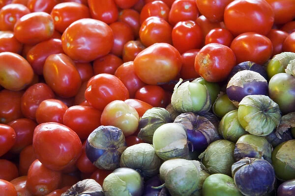 North America, Mexico, Guanajuato state, San Miguel de Allende. Tomatoes and tomatillos