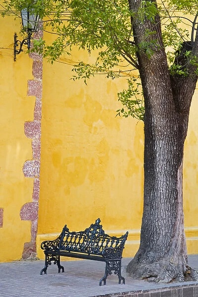 North America, Mexico, Guanajuato state, San Miguel de Allende. An iron bench