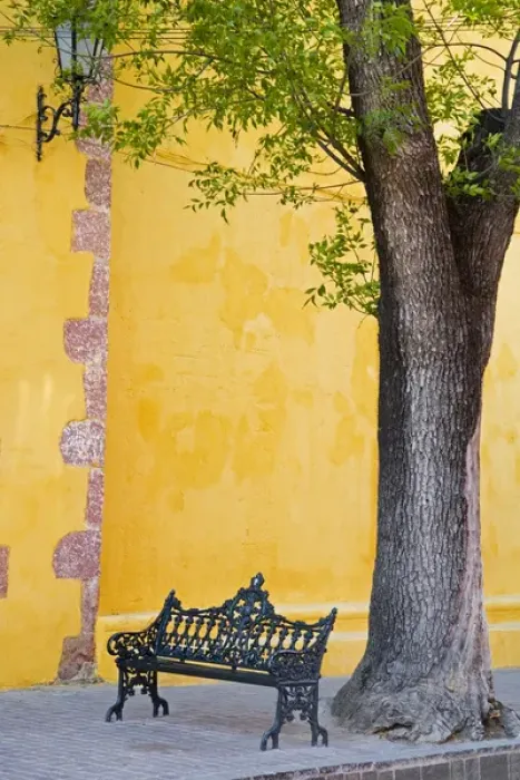 Framed Print : North America, Mexico, Guanajuato state, San Miguel de Allende. An iron bench