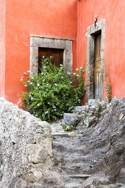 North America, Mexico, Guanajuato state, San Miguel. The stone steps leading to