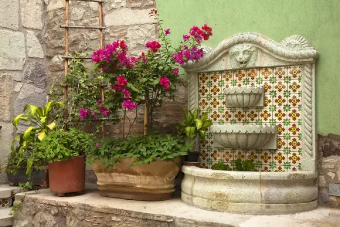 Framed Print : North America, Mexico, Guanajuato State, Guanajuato, plants, bouganvilla flowers Framed Print : North America, Mexico, Guanajuato State, Guanajuato, plants, bouganvilla flowers