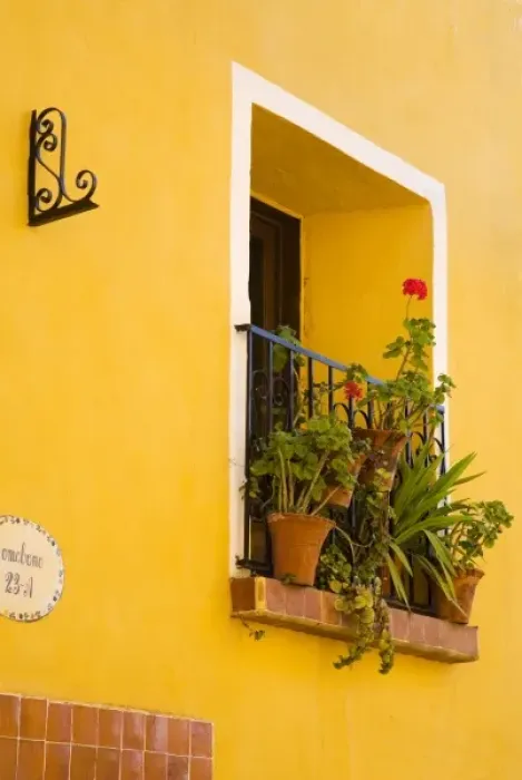 Framed Print : North America, Mexico, Guanajuato state, San Miguel de Allende. Flower pots on a window ledge Framed Print : North America, Mexico, Guanajuato state, San Miguel de Allende. Flower pots on a window ledge