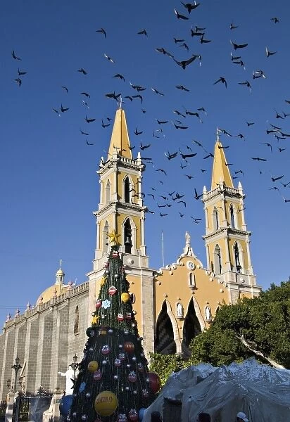 North America, Mexico, Mazatlan. The Cathedral with a flock of pigeons