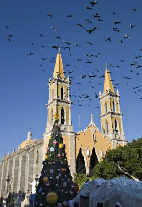 Framed Print : North America, Mexico, Mazatlan. The Cathedral with a flock of pigeons Framed Print : North America, Mexico, Mazatlan. The Cathedral with a flock of pigeons