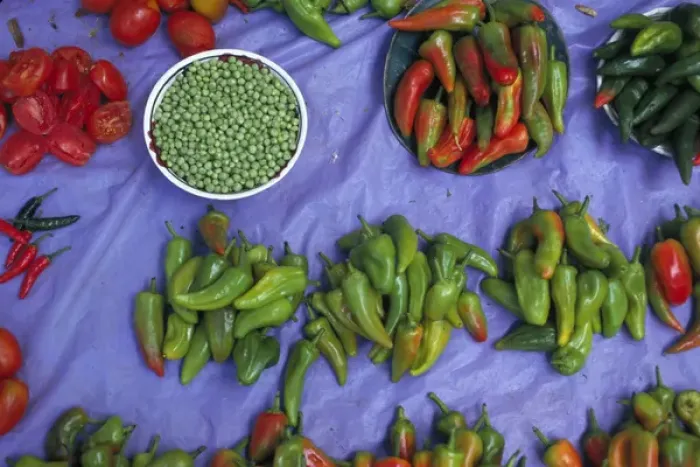 Framed Print : North America, Mexico, Oaxaca, Ocotlan Chiles and peas for sale at market Framed Print : North America, Mexico, Oaxaca, Ocotlan Chiles and peas for sale at market