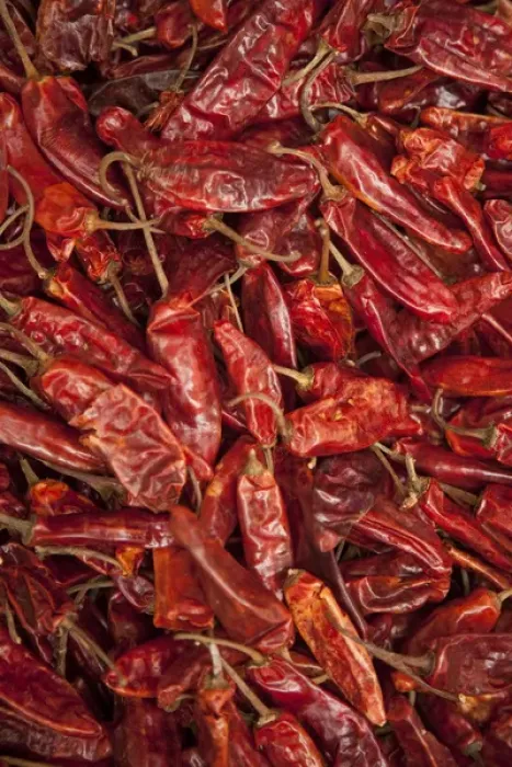 Framed Print : North America, Mexico, Oaxaca Province, Oaxaca, peppers for sale in market Framed Print : North America, Mexico, Oaxaca Province, Oaxaca, peppers for sale in market