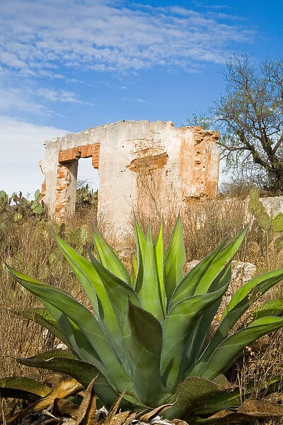 North America, Mexico, Pozos. The mining ruins of Cinco Senores near the town of