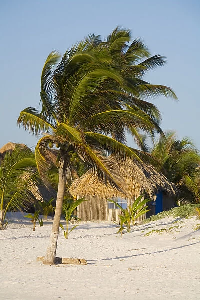 North America, Mexico, Quintana Roo, Tulum. A small beach hut in Tulum