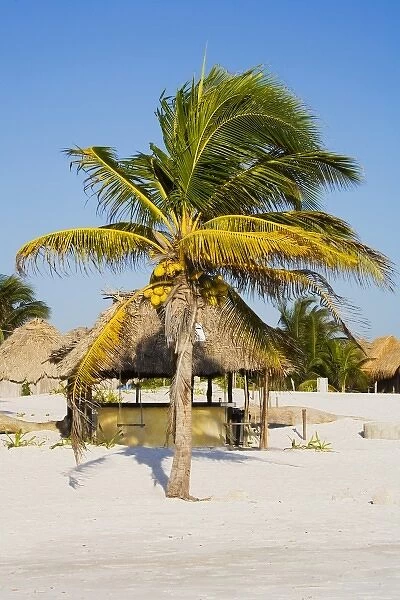 North America, Mexico, Quintana Roo, Tulum. A grouping of beach huts and coconut