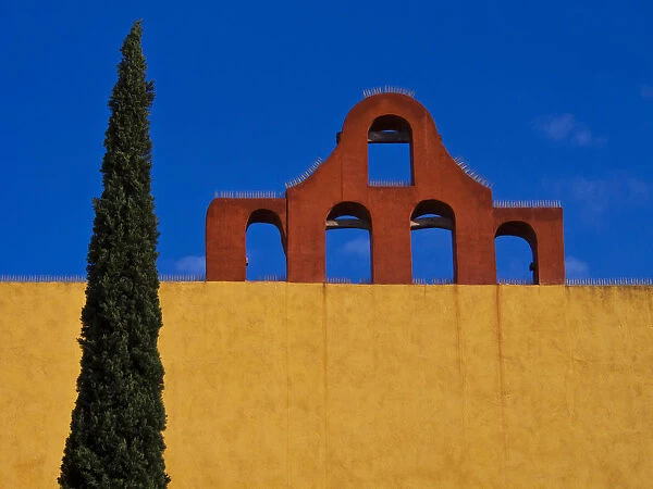 North America; Mexico; San Migel de Allende; Blue sky, city wall and Cypress Tree