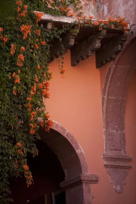 Framed Print : North America, Mexico, San Miguel de Allende, stone artch in courtyard and vine with orange flowers Framed Print : North America, Mexico, San Miguel de Allende, stone artch in courtyard and vine with orange flowers