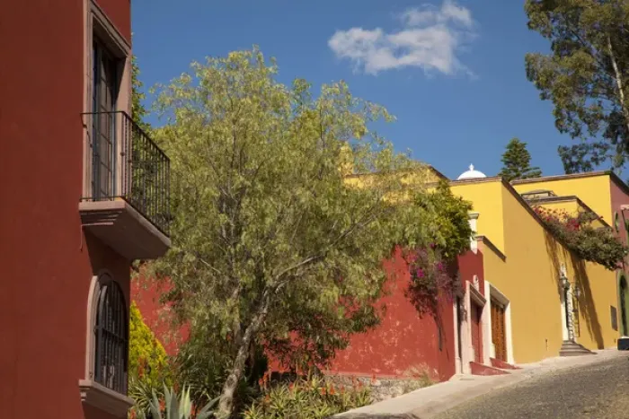Framed Print : North America, Mexico, San Miguel de Allende, colorful colonial buildings line cobblestone street Framed Print : North America, Mexico, San Miguel de Allende, colorful colonial buildings line cobblestone street