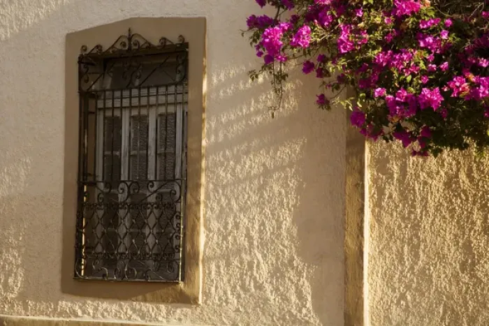 Framed Print : North America, Mexico, Yucatan, Merida. Bougainvillea blooming on the exterior wall of Framed Print : North America, Mexico, Yucatan, Merida. Bougainvillea blooming on the exterior wall of