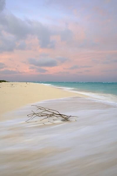North America, Northwestern Hawaiian Islands, Midway Atoll. Sunrise on a tropical beach