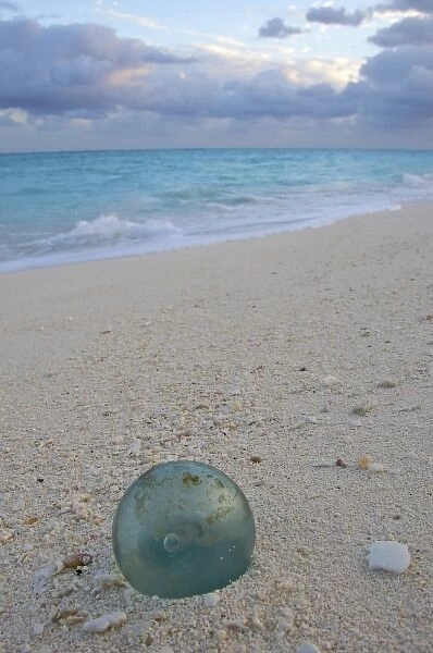 North America, Northwestern Hawaiian Islands, Midway Atoll. Japanese glass fishing float on a beach